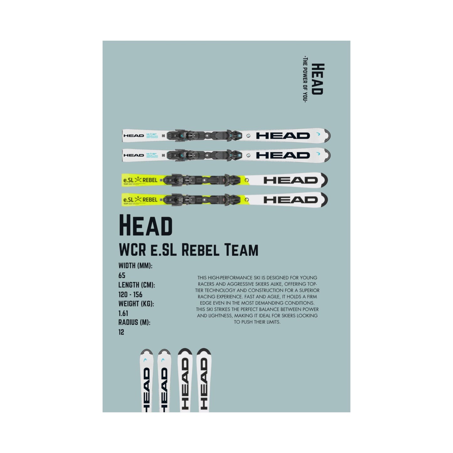Head WCR E.SL Rebel Team- Poster