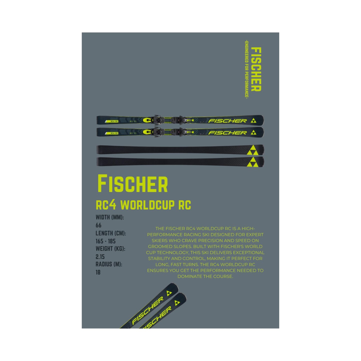 Fischer RC4 Worldcup Rc - Poster
