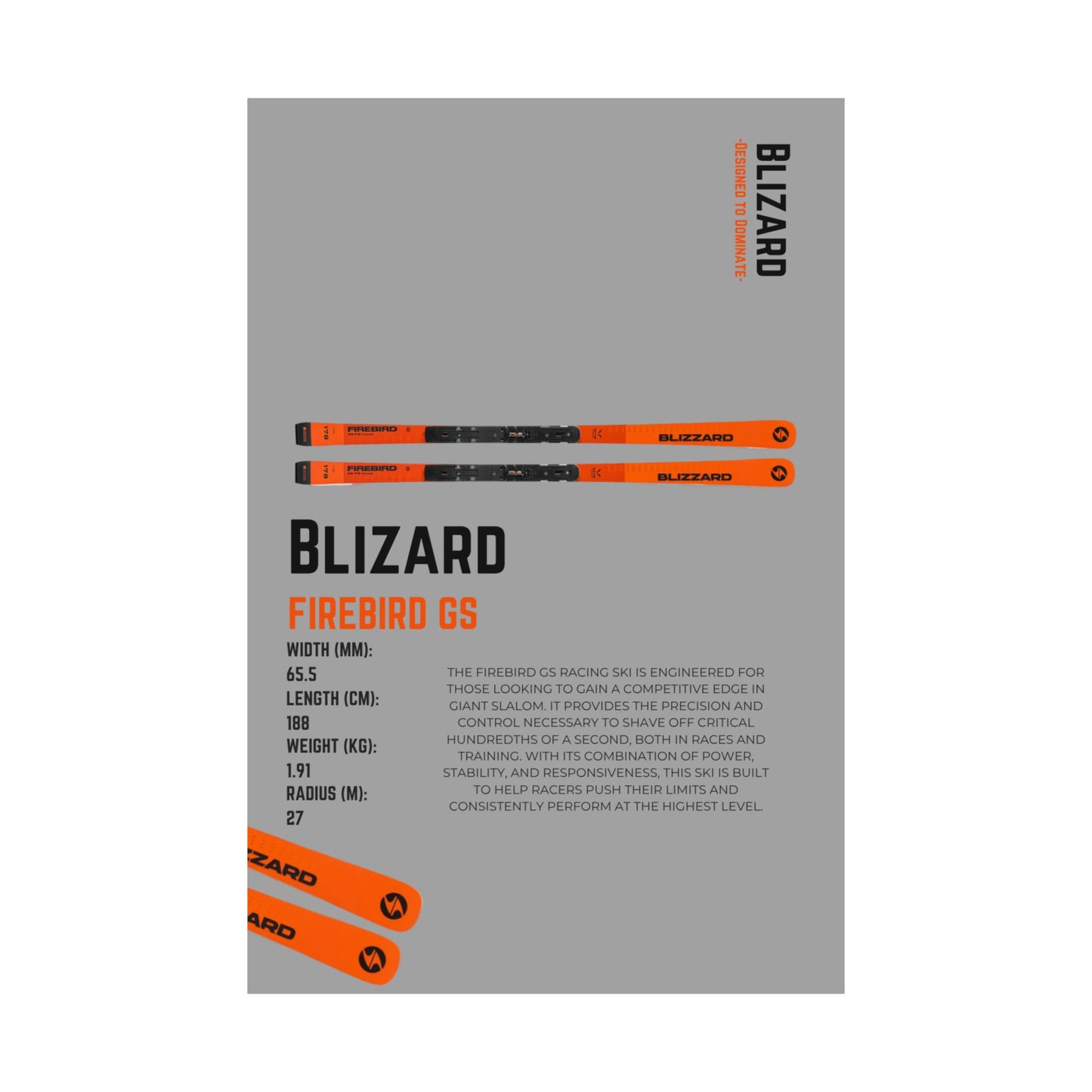 Blizard Firebird Gs - Poster