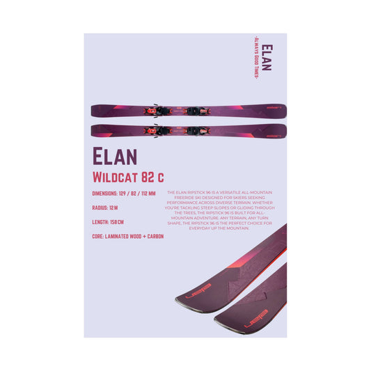 Elan Wildcat 82 C - Poster